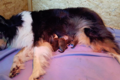 2016-05-06 Xenja Anouk - A-Wurf