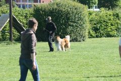 2016-05-07 BH-Prüfung Bandit