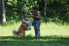 2016-06-05 HFS Bandit Seidensticker