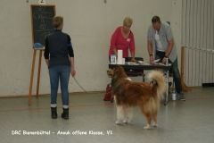 2016-06-12 DRC Bienenbüttel