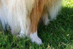 2016-06-22 Ziva Anouk