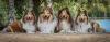 2019-07-28 Baden Bonita, Bandit, Anouk, Giny - 2 2019-07-28 Baden Bonita, Bandit, Anouk, Giny - 2