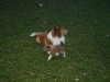 2009-12-27 - A-Wurf, 31. Tag (37)