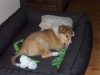 2010-02-04 Akira - 1