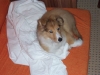 2010-02-04 Akira - 3