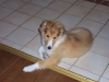 2010-02-04 Akira - 5