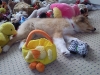 2010-02-16 Akira - 1