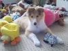 2010-02-16 Akira - 2