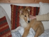 2010-03-11 Akira - 1