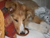 2010-03-11 Akira - 10