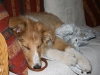 2010-03-11 Akira - 11