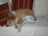 2010-03-11 Akira - 12