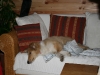 2010-03-11 Akira - 16