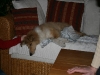 2010-03-11 Akira - 17