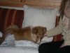 2010-03-11 Akira - 18
