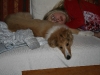 2010-03-11 Akira - 19