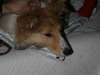 2010-03-11 Akira - 2