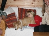 2010-03-11 Akira - 6