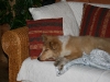 2010-03-11 Akira - 9