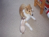 2010-04-27 Akira - 1
