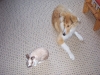 2010-04-27 Akira - 2