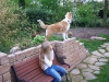 2010-04-27 Akira - 8