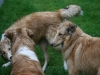 2010-05-21 Akira - 13