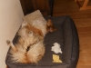 2011-03-30 Akira - 1