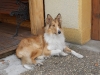 2011-03-30 Akira - 2
