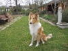 2011-03-30 Akira - 4