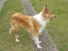 2011-03-30 Akira - 5