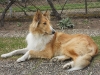 2011-03-30 Akira - 6