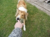 2011-03-30 Akira - 7