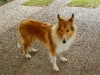 2011-03-30 Akira - 8