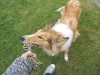 2011-05-30 Akira - 2