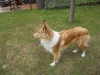 2011-05-30 Akira - 3