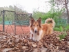 2011-05-30 Akira - 4