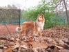 2011-05-30 Akira - 5