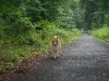 2011-07-20 Akira - 13