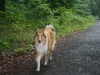 2011-07-20 Akira - 14