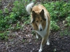 2011-07-20 Akira - 15