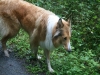 2011-07-20 Akira - 16
