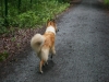 2011-07-20 Akira - 17