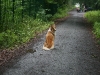 2011-07-20 Akira - 19
