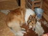 2011-07-20 Akira - 2