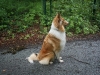 2011-07-20 Akira - 20