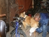 2011-07-20 Akira - 22