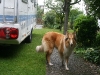 2011-07-20 Akira - 23