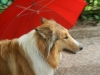 2011-07-20 Akira - 24