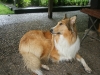 2011-07-20 Akira - 25
